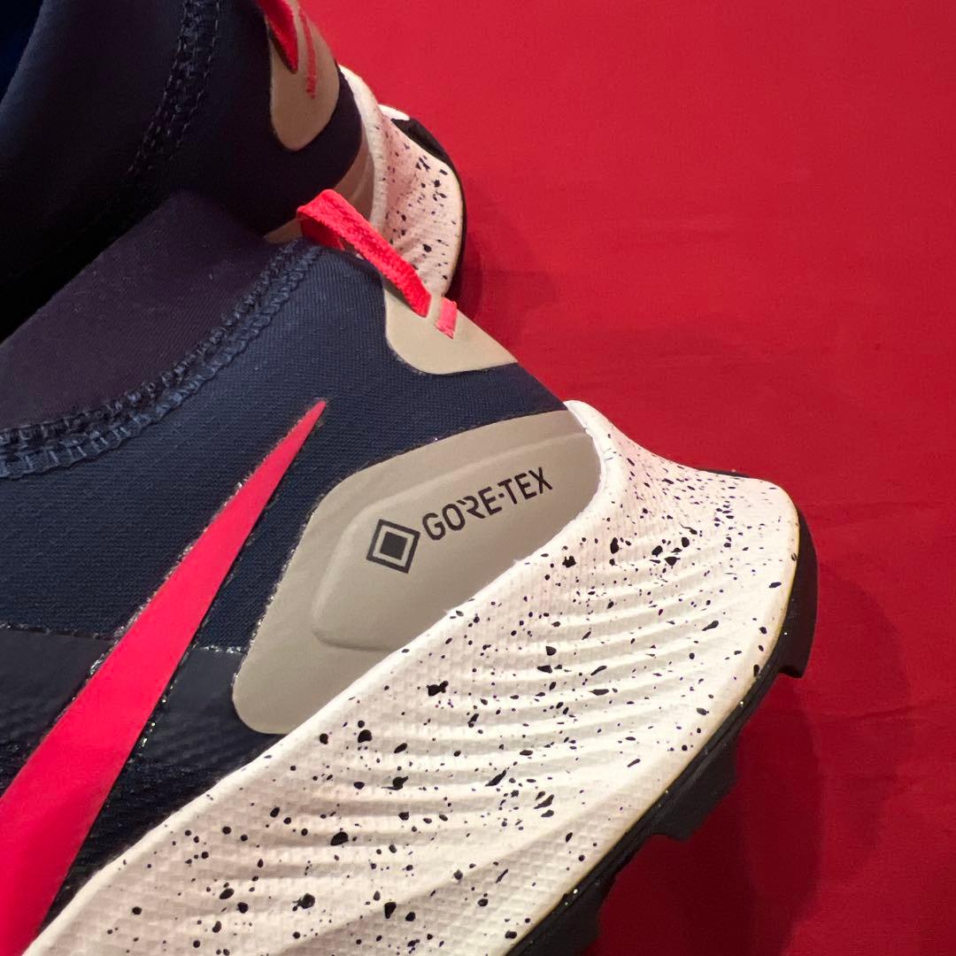 NIKE　ペガサス トレイル 3 ゴアテックス　ランニングシューズ　トレラン