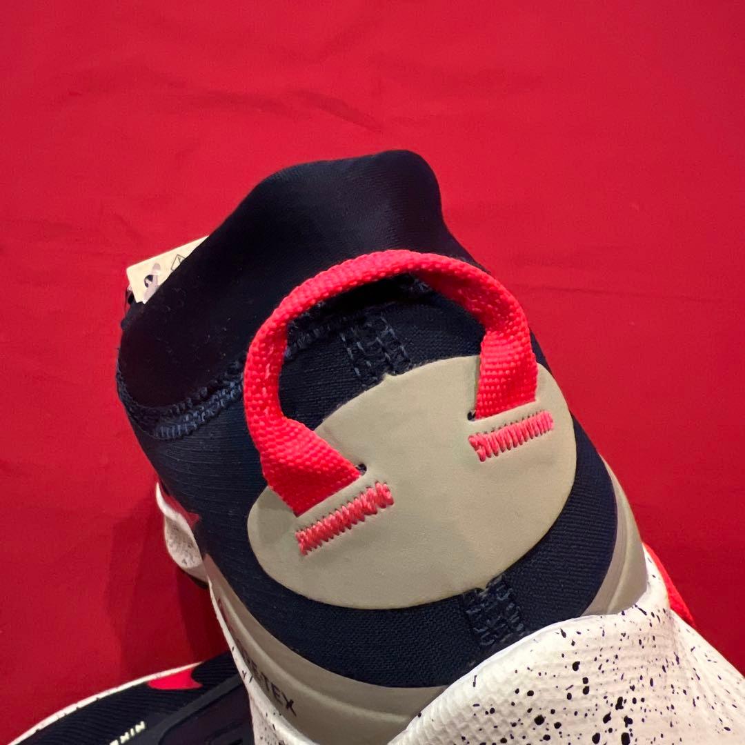 NIKE　ペガサス トレイル 3 ゴアテックス　ランニングシューズ　トレラン