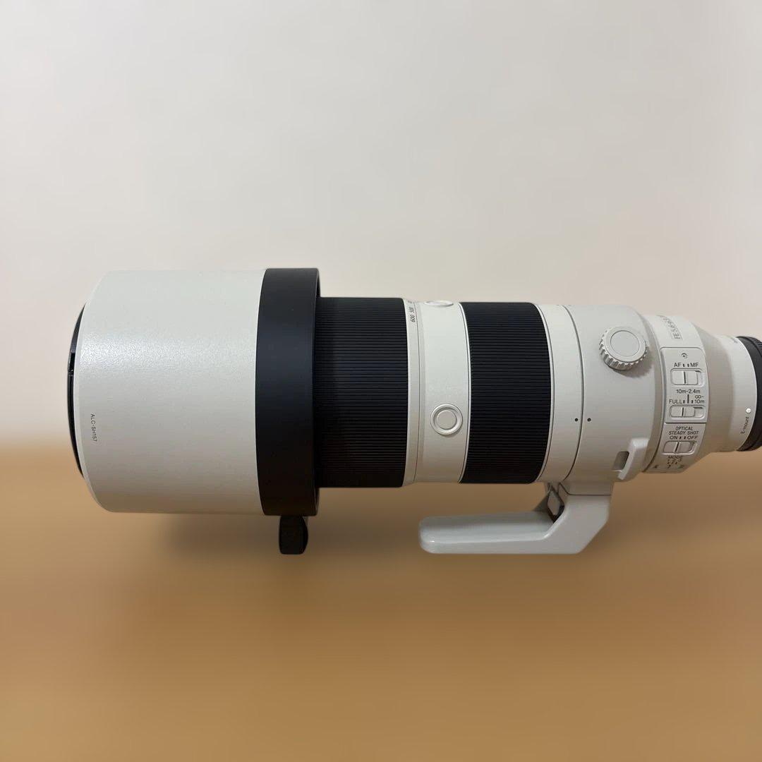 SONY 高性能ズームレンズ FE200-600 F5.6-6.3(美品)