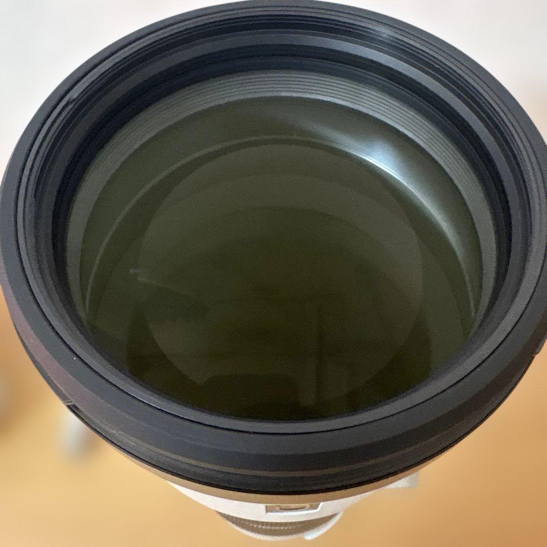 SONY 高性能ズームレンズ FE200-600 F5.6-6.3(美品)