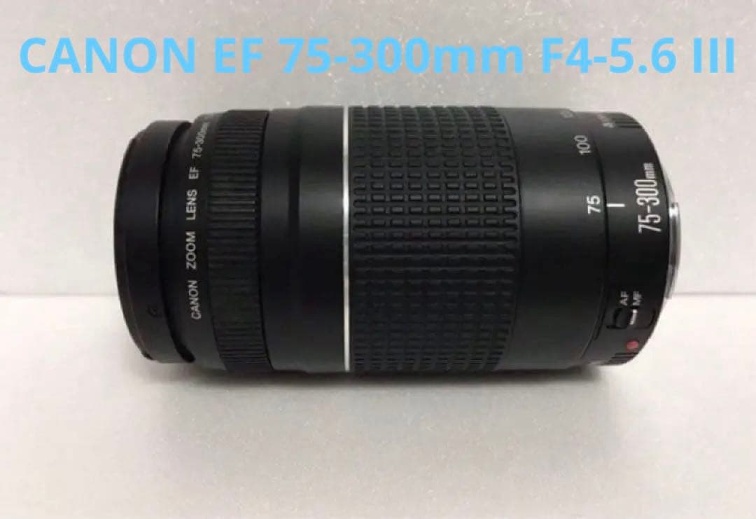 大迫力の300㎜☆イベント☆キャノン Canon EF75-300㎜☆