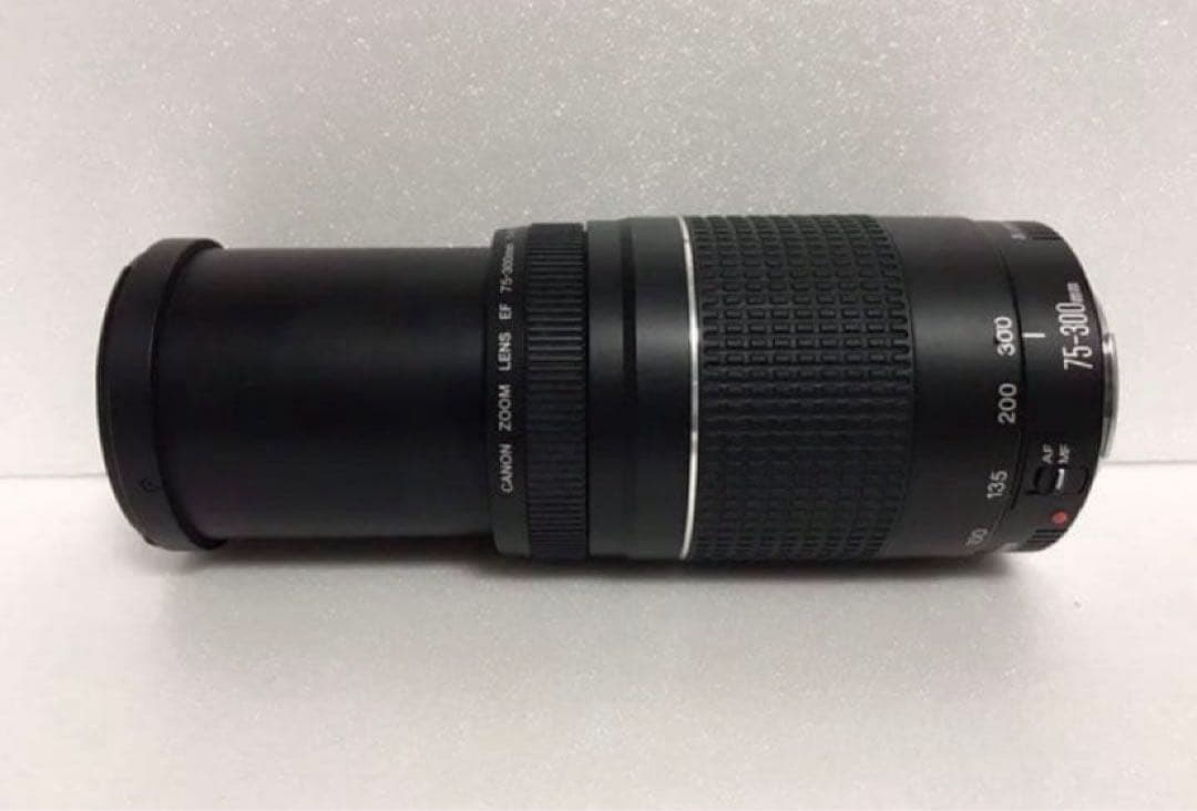 大迫力の300㎜☆イベント☆キャノン Canon EF75-300㎜☆