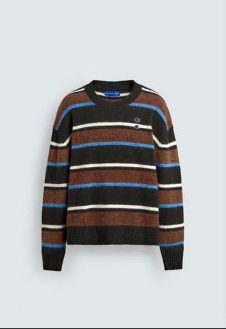 ザラ x チャンピオン コラボ ストライプニットセーター　Ｌ