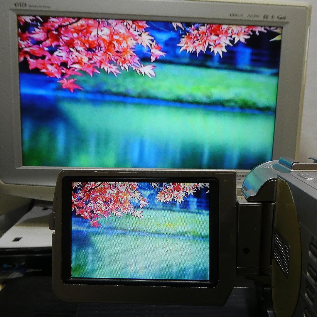 美品・動作品ソニー DCR-TRV20 MiniDV ビデオカメラ DVD化に