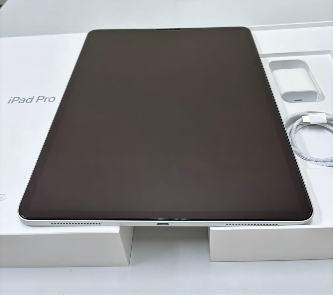 Apple iPad Pro 本体 12.9インチ 第3世代 512GB 美品