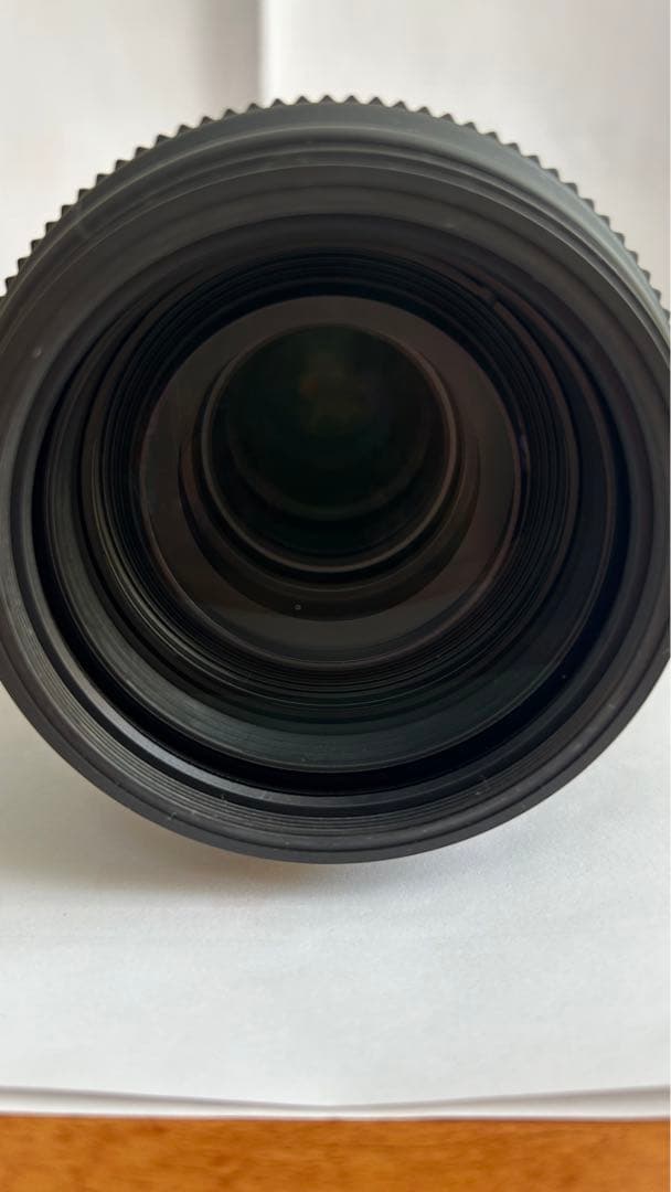 SIGMA 100-400mm F5-6.3 DG DN OS (ニコンF)