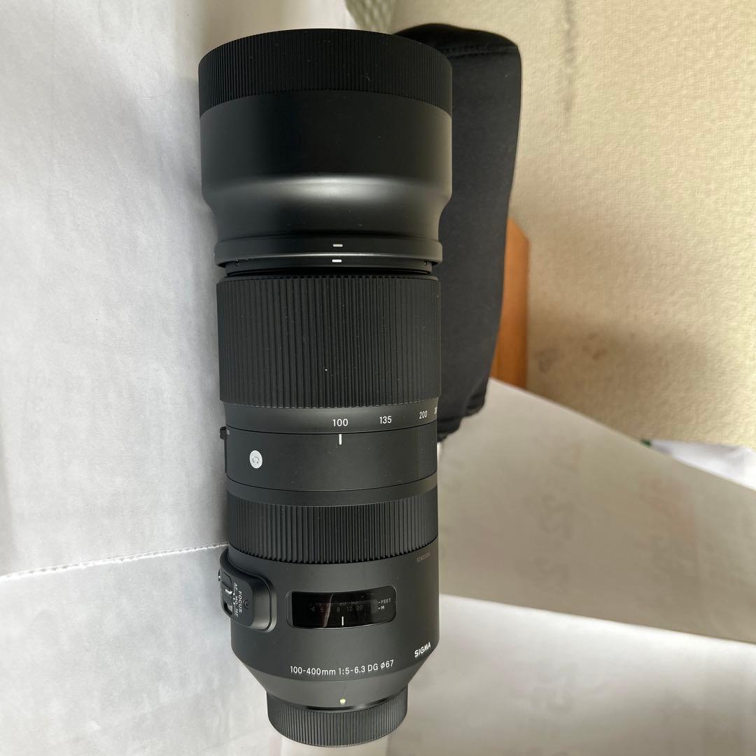 SIGMA 100-400mm F5-6.3 DG DN OS (ニコンF)
