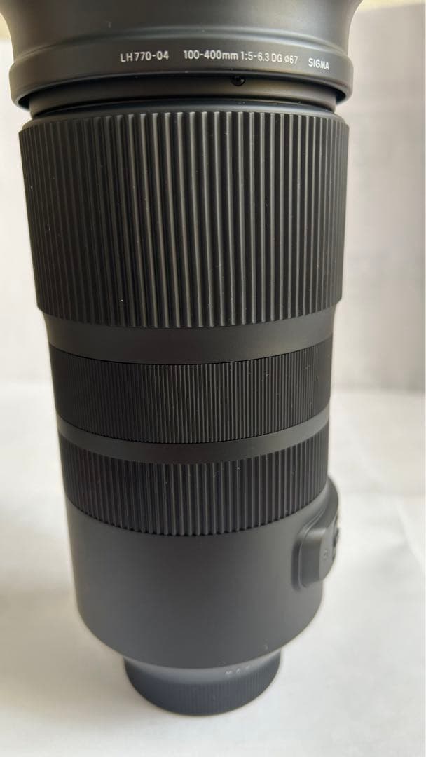 SIGMA 100-400mm F5-6.3 DG DN OS (ニコンF)