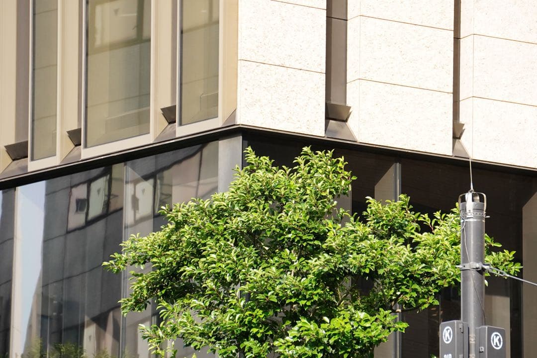 レンズ(ズーム) SONY E 55-210mm F4.5-6.3 SEL55210