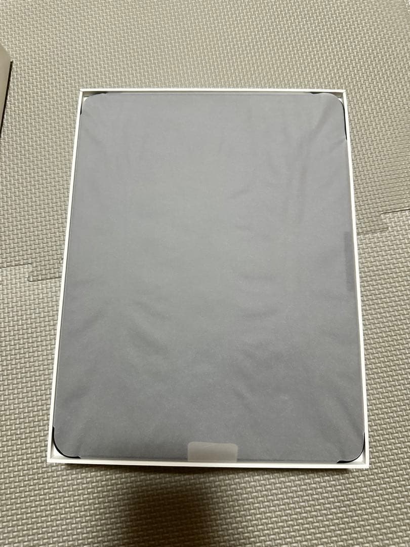 【美品】iPad Pro M4 13インチ 256GB Wi-Fiモデル 本体