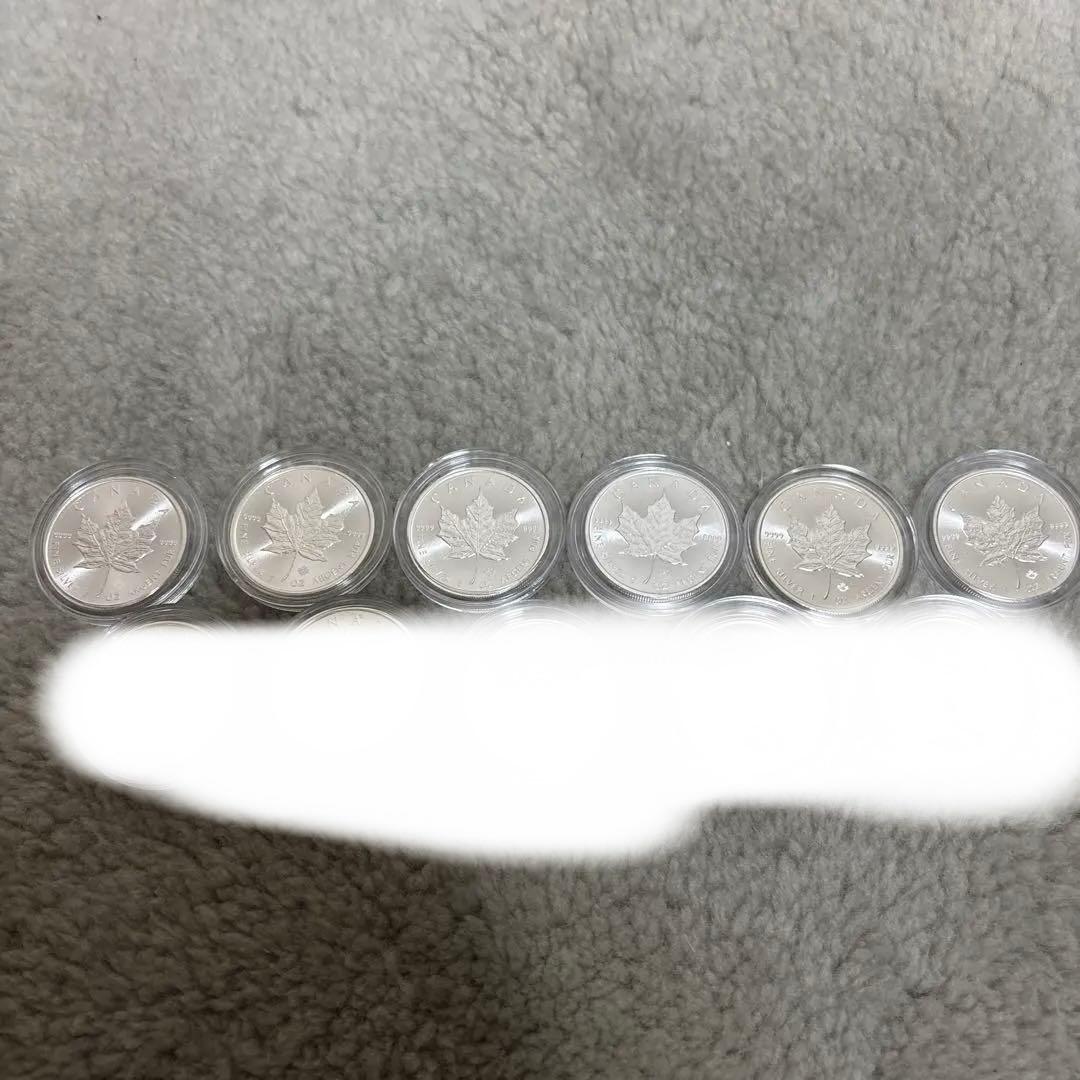 dendenメイプルリーフシルバー 6枚セット