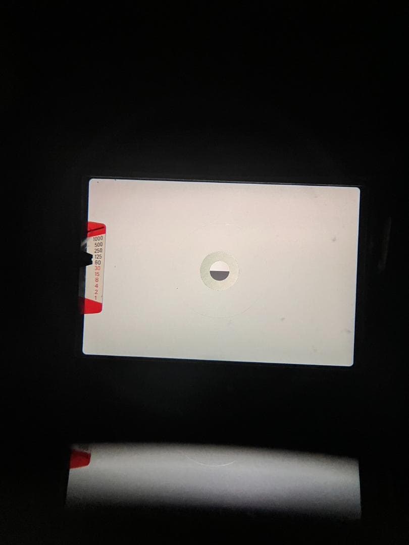 超美品 NIKON ニコン EM フィルムカメラ　モルト新品交換済 B879