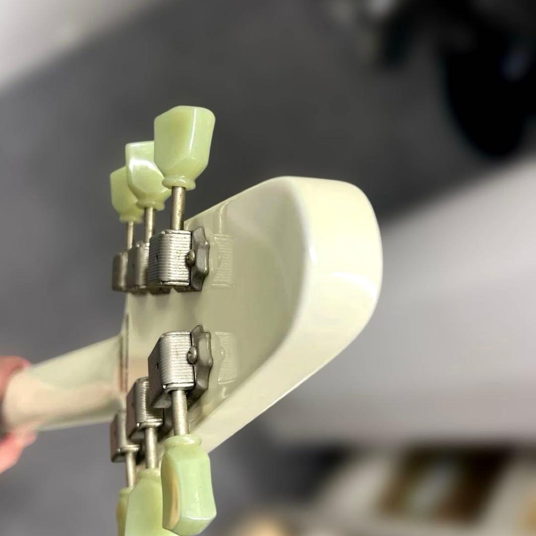 Grass Roots GFV58 グラスルーツ フライングV 白　ケース付