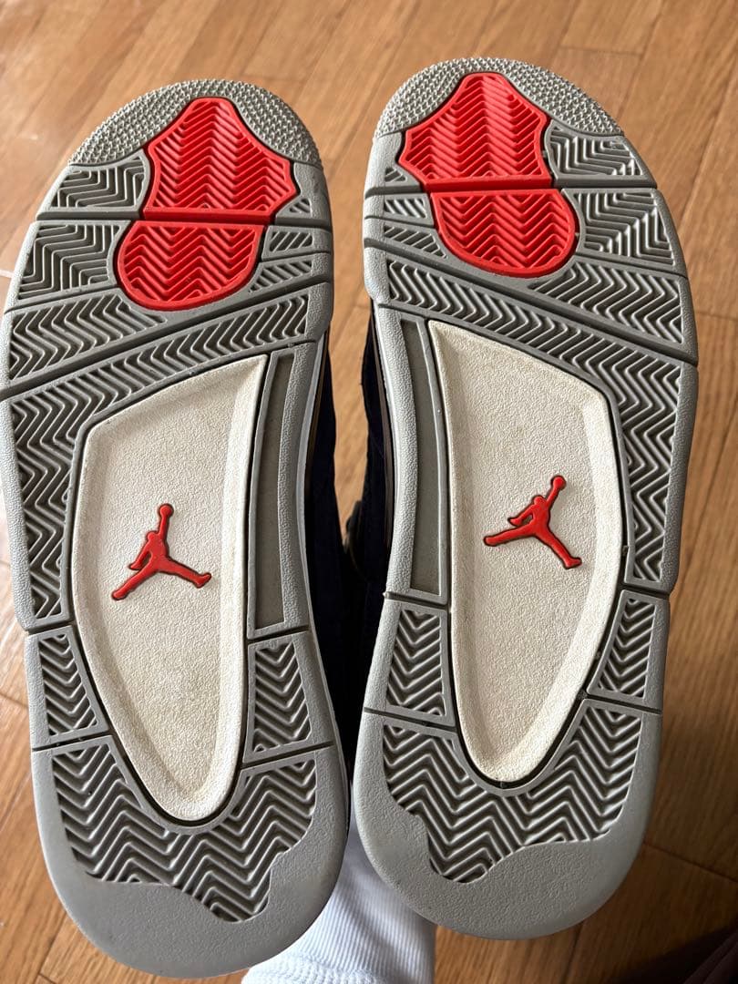 た*】様 NIKE Air Jordan 4 Retro WNTR 29