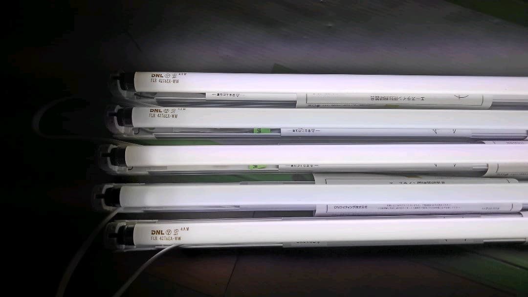 電灯確認済　エースライン照明+ランプ付5セット