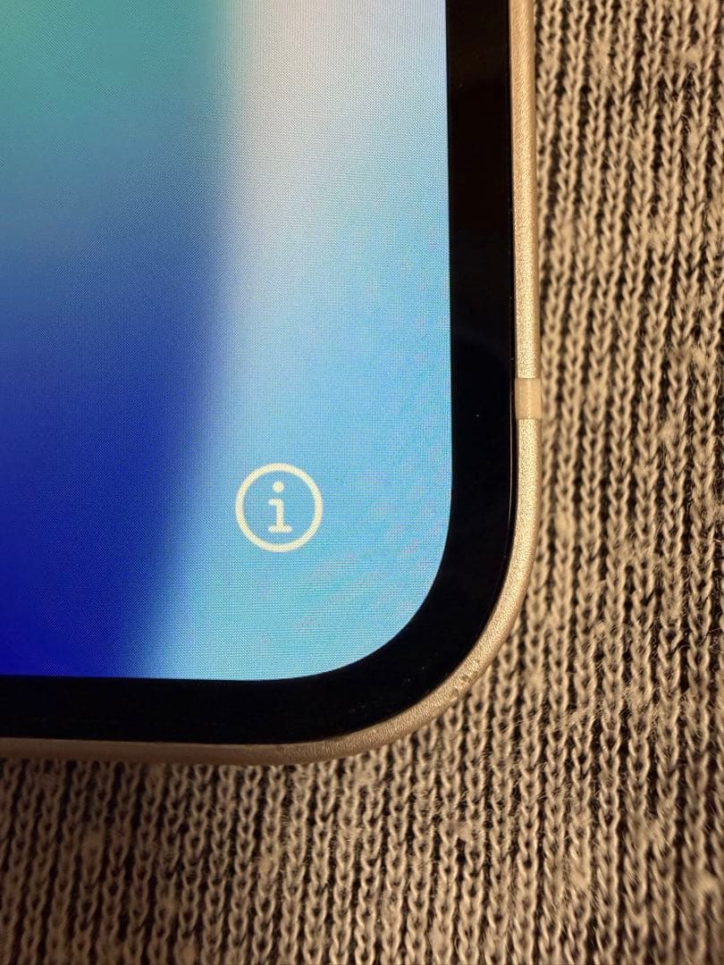 保*！様 iPhone12mini 256GB