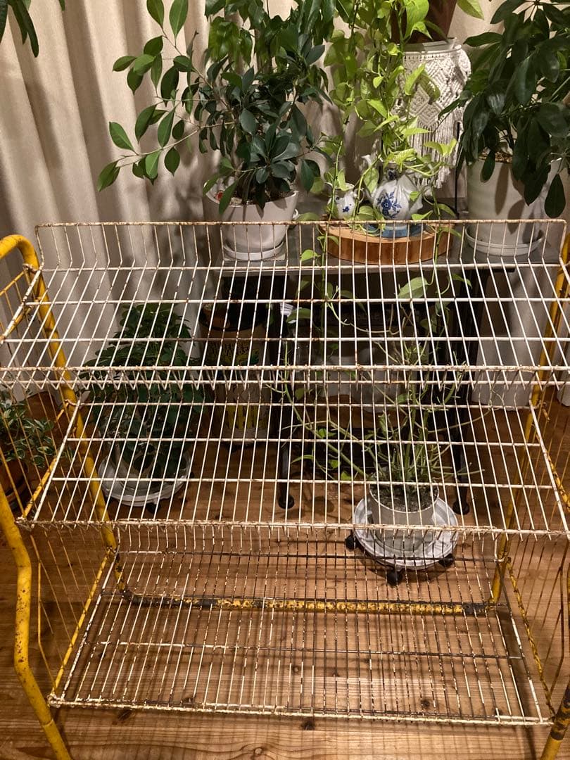 昭和レトロ　ワイヤーラック3段仕様　キャスター無ガーデニング　シャビーラック12