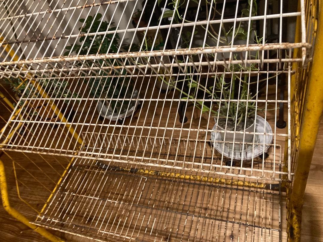 昭和レトロ　ワイヤーラック3段仕様　キャスター無ガーデニング　シャビーラック12