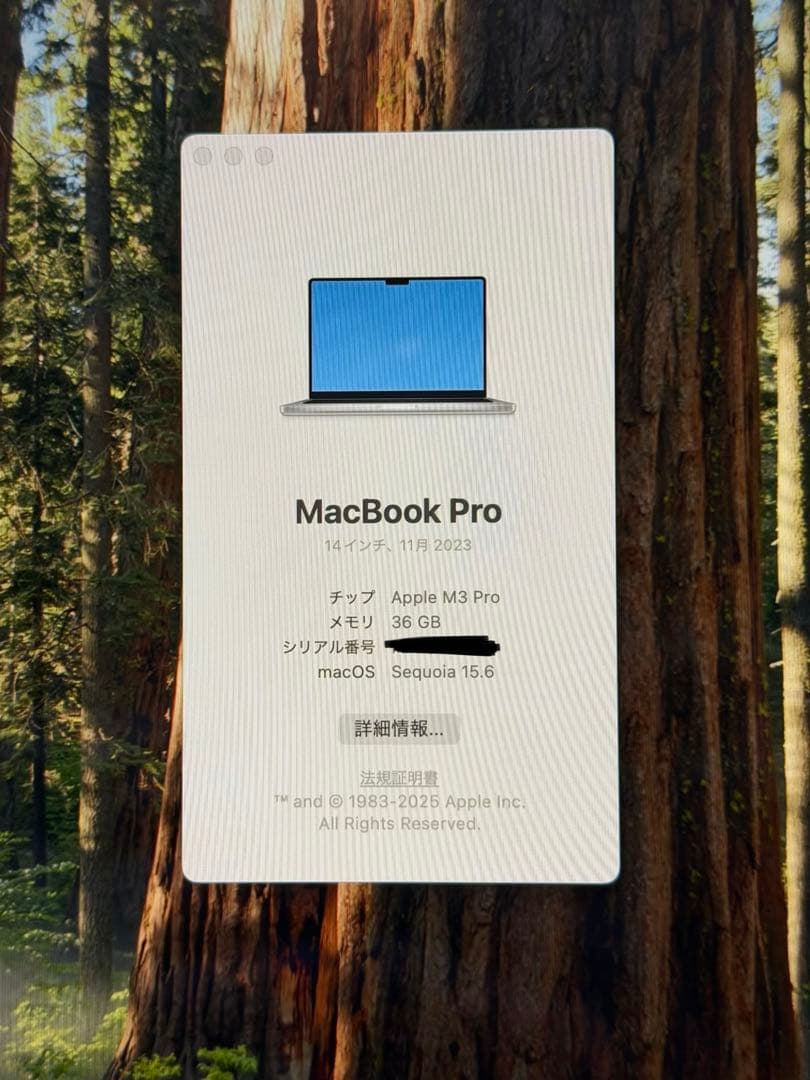 新品に近いMacBook Pro 14 M3 Pro 36GB JIS