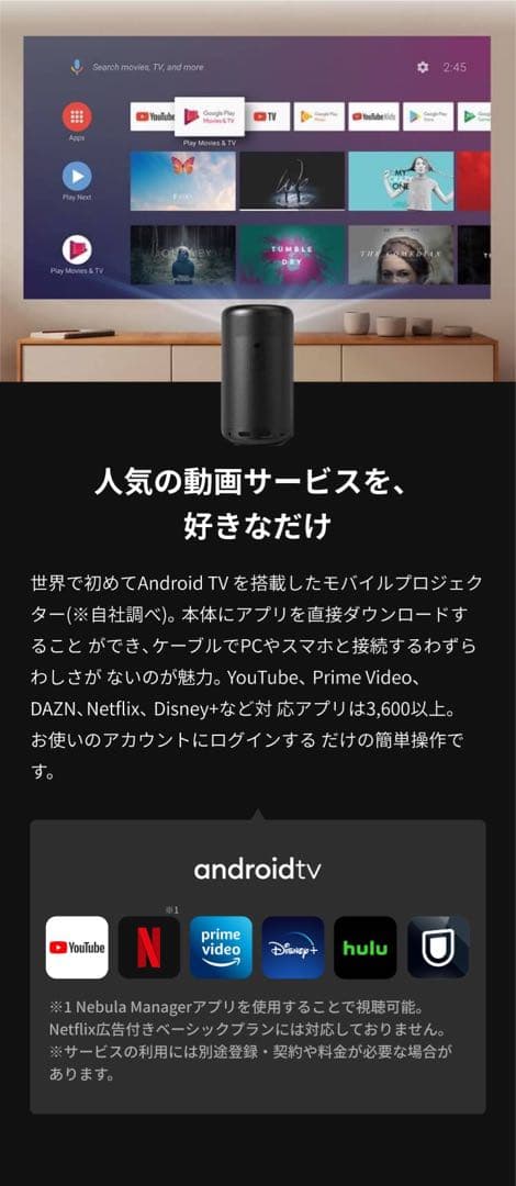 nebula capsule Ⅱ 最終値下げ