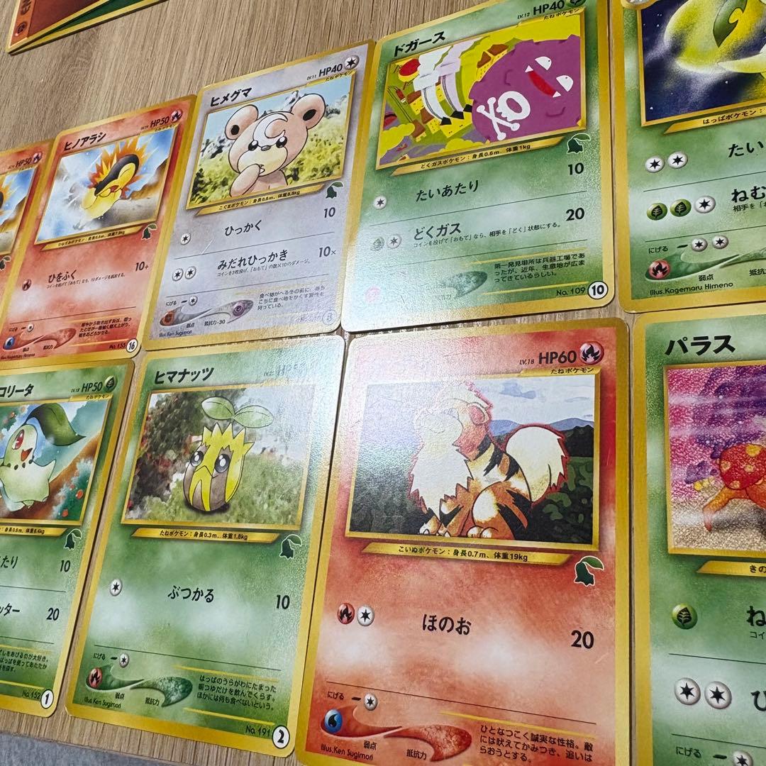 ポケカ　旧裏　イントロパック　チコリータマーク　16枚まとめセット