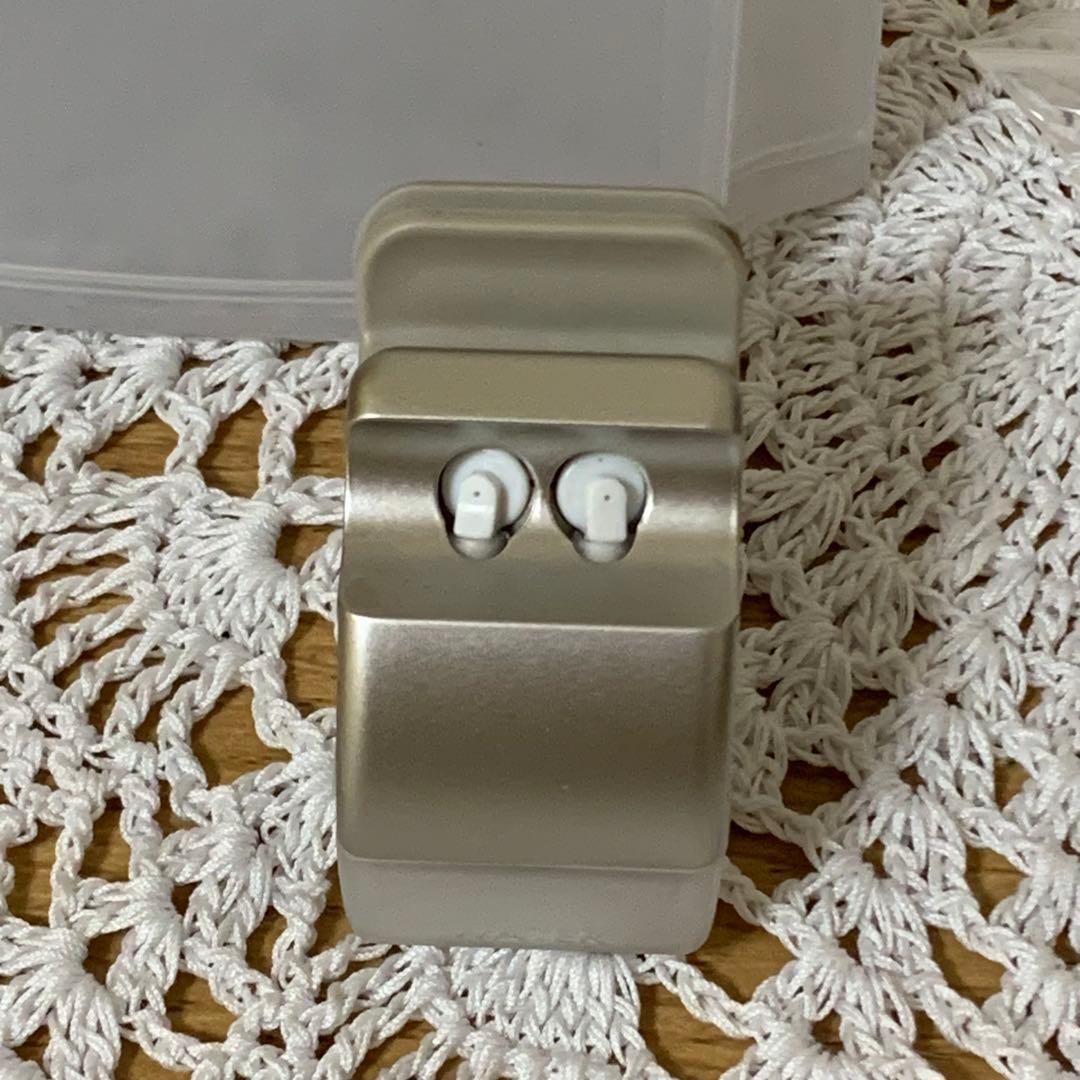 Panasonic EH-SA0B-N スチーマー