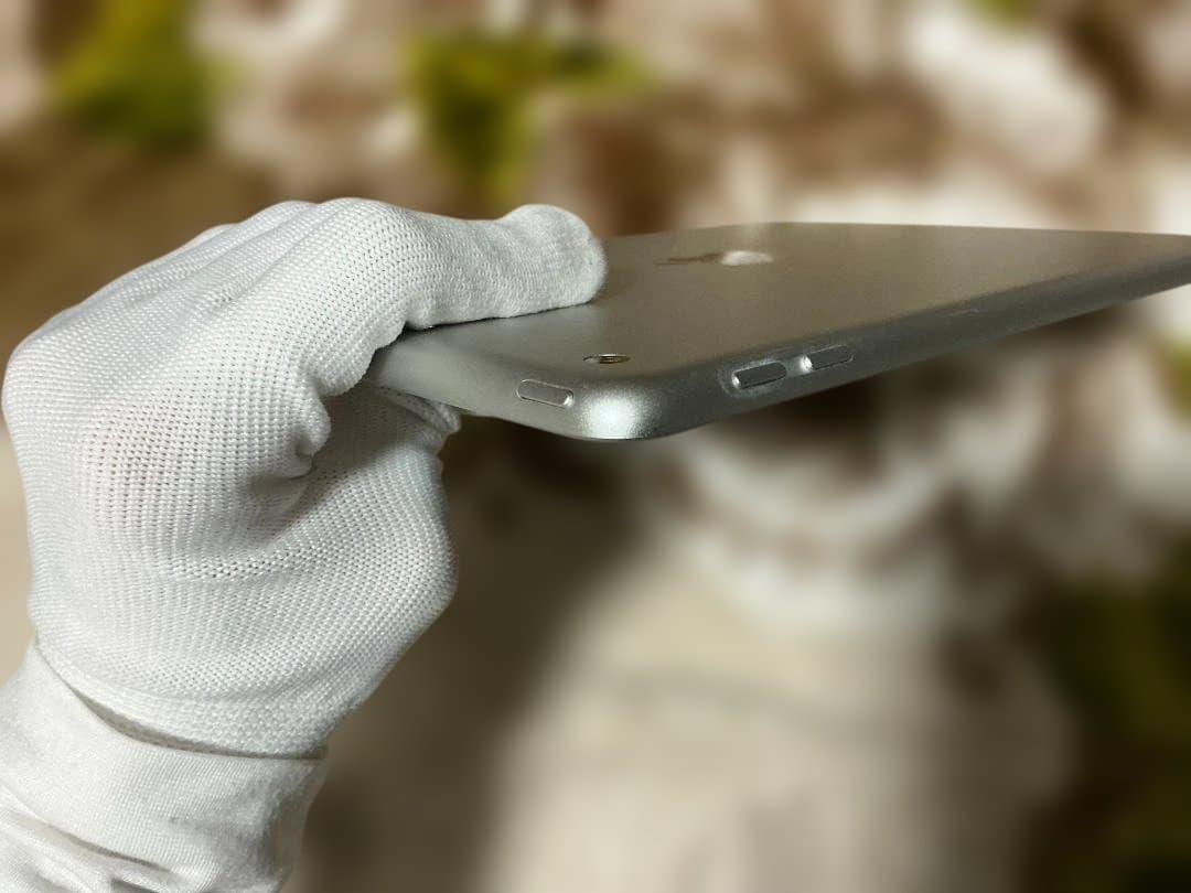 Apple ipad （第6世代）