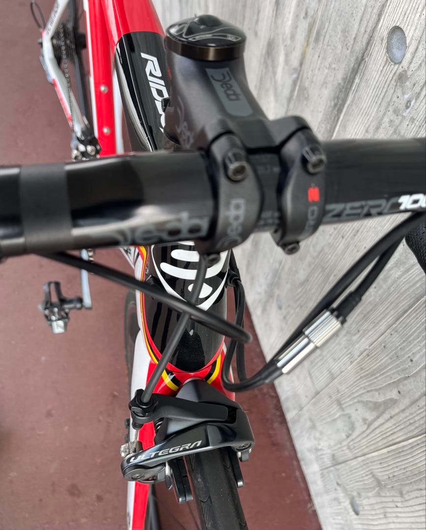 RIDLEY NOAH リドレーノア