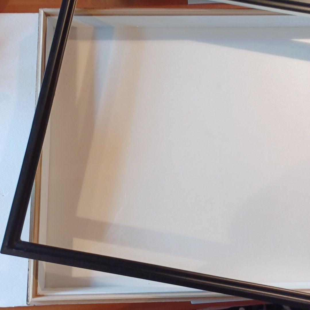 標本箱　ドイツ箱大型　2個セット