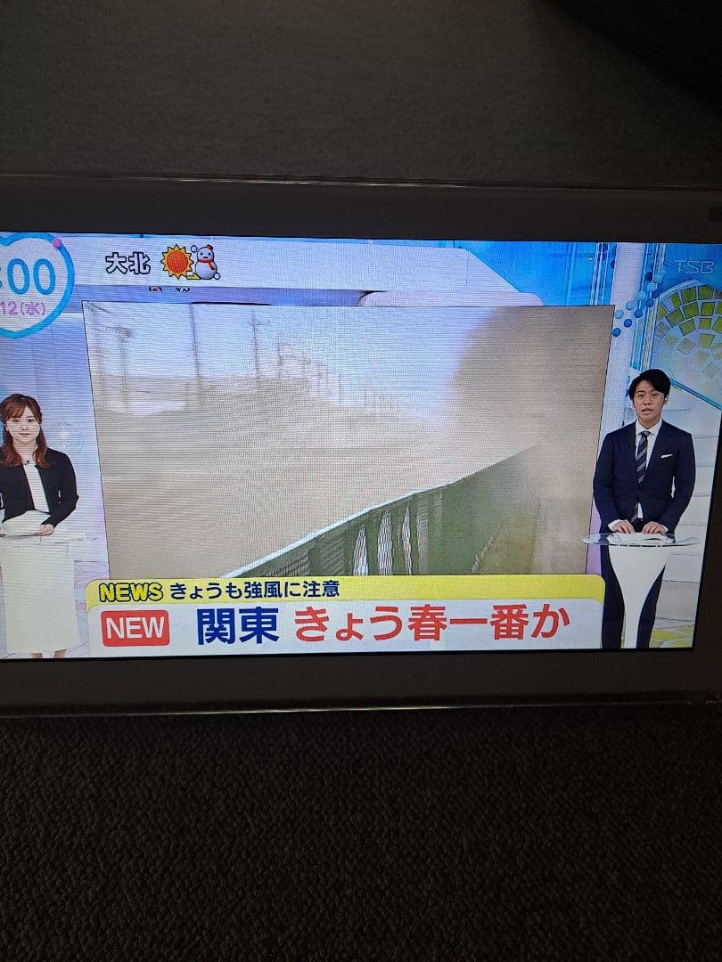 Panasonic プライベートビエラ 15V型液晶テレビ UN-15TD6-W