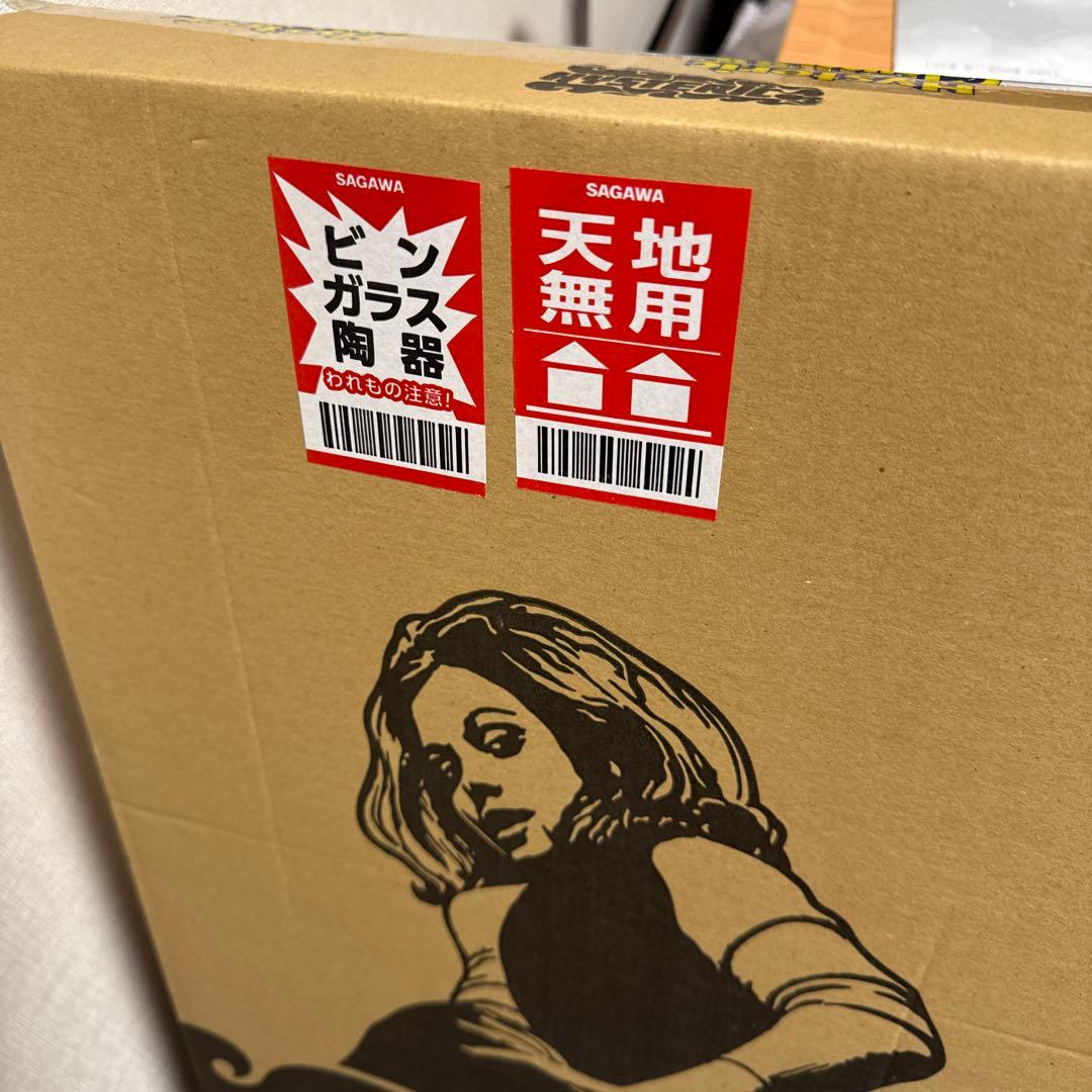 Hysteric Glamour 姿見　未使用品