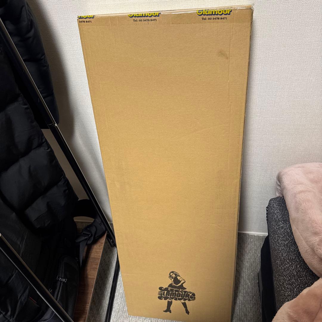 Hysteric Glamour 姿見　未使用品