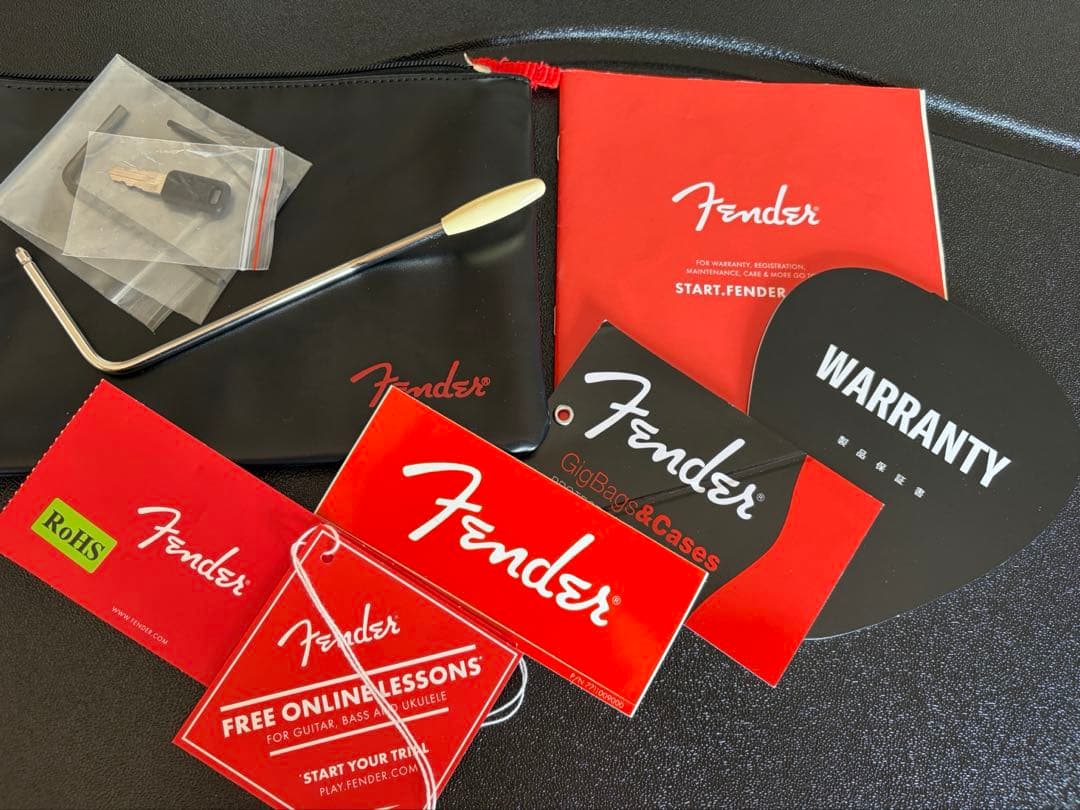 ギター American Professional II Stratocaster