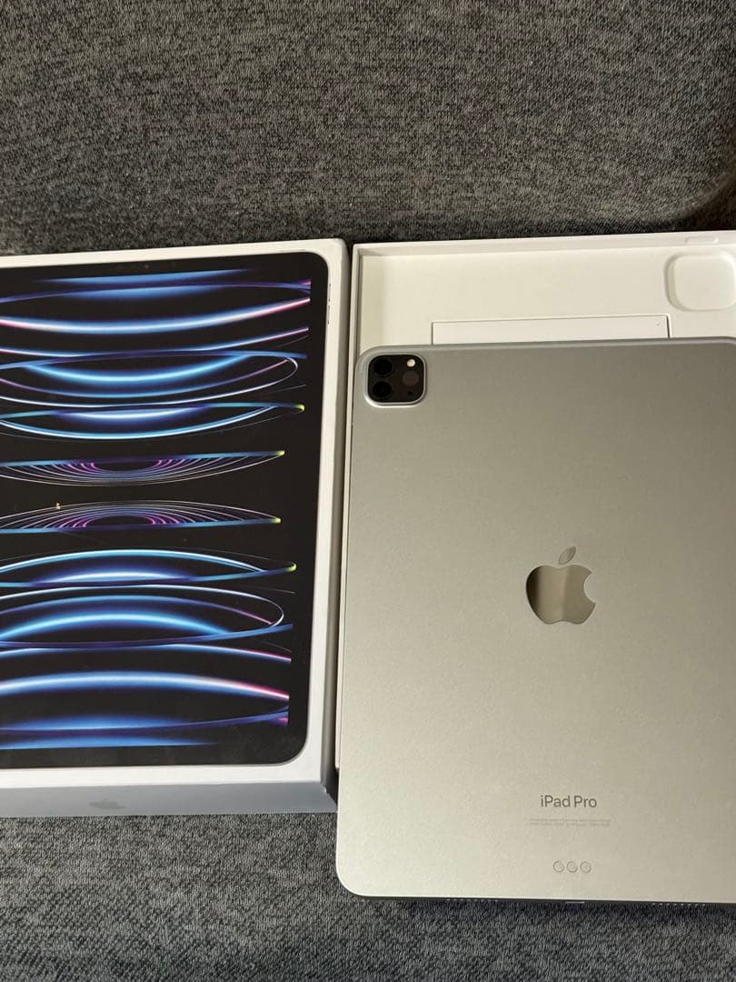 Apple iPad Pro 11インチ M2 第4世代　美品