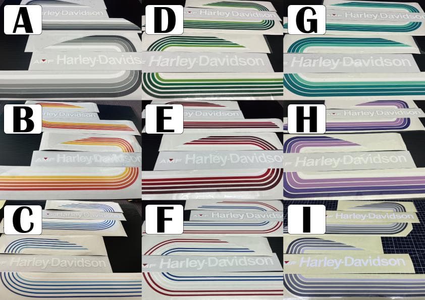 ハーレー　ステッカー　2025　自作品　Type-Z02　特殊形状　カラー変更可