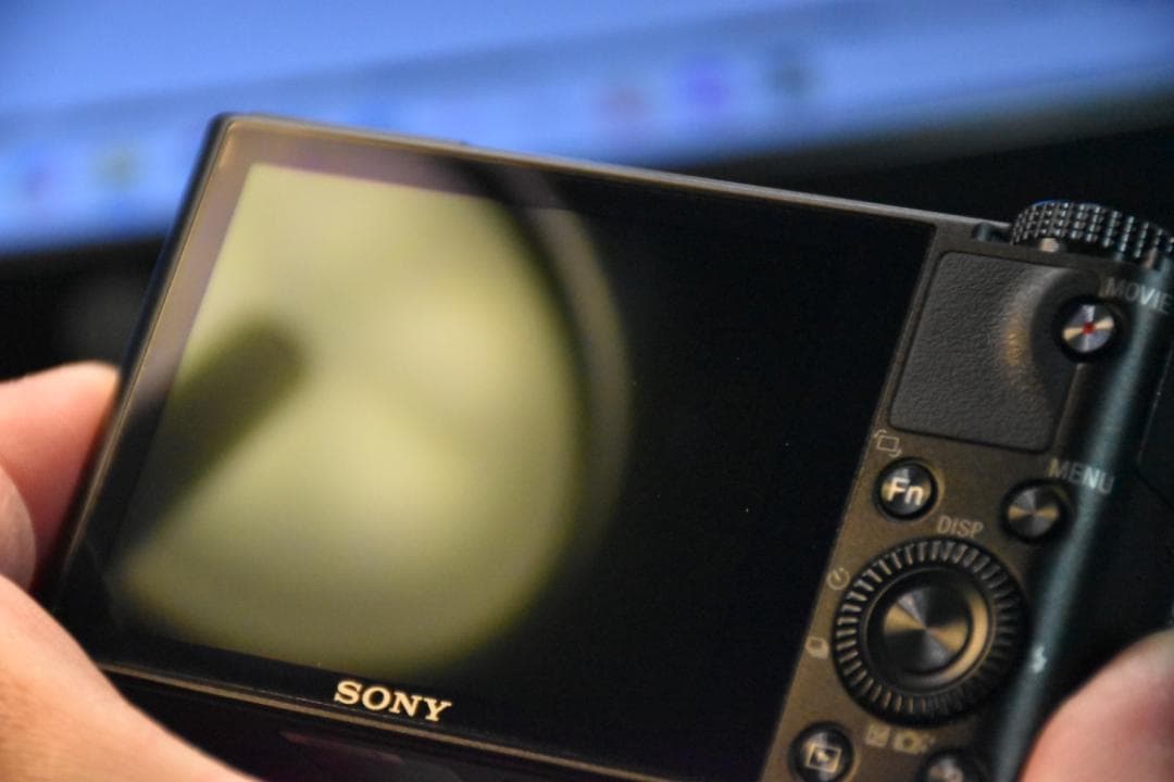 【程度良】Cyber-shot DSC-RX100