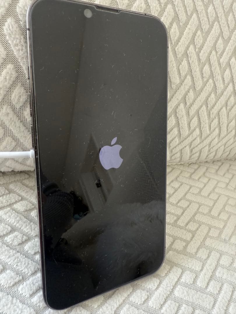 【ジャンク品】iPhone13 Pro 128GB 電源入らない／初期化済み