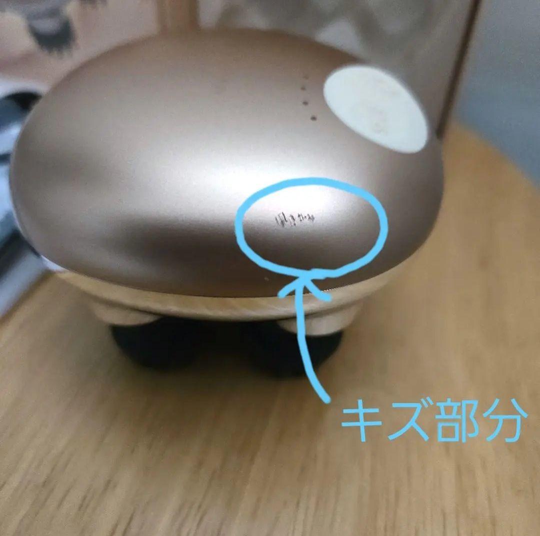 新品 訳あり ヘッドマッサージ ゾーガンキン スカルプ EMS 美顔器ヘッドスパ