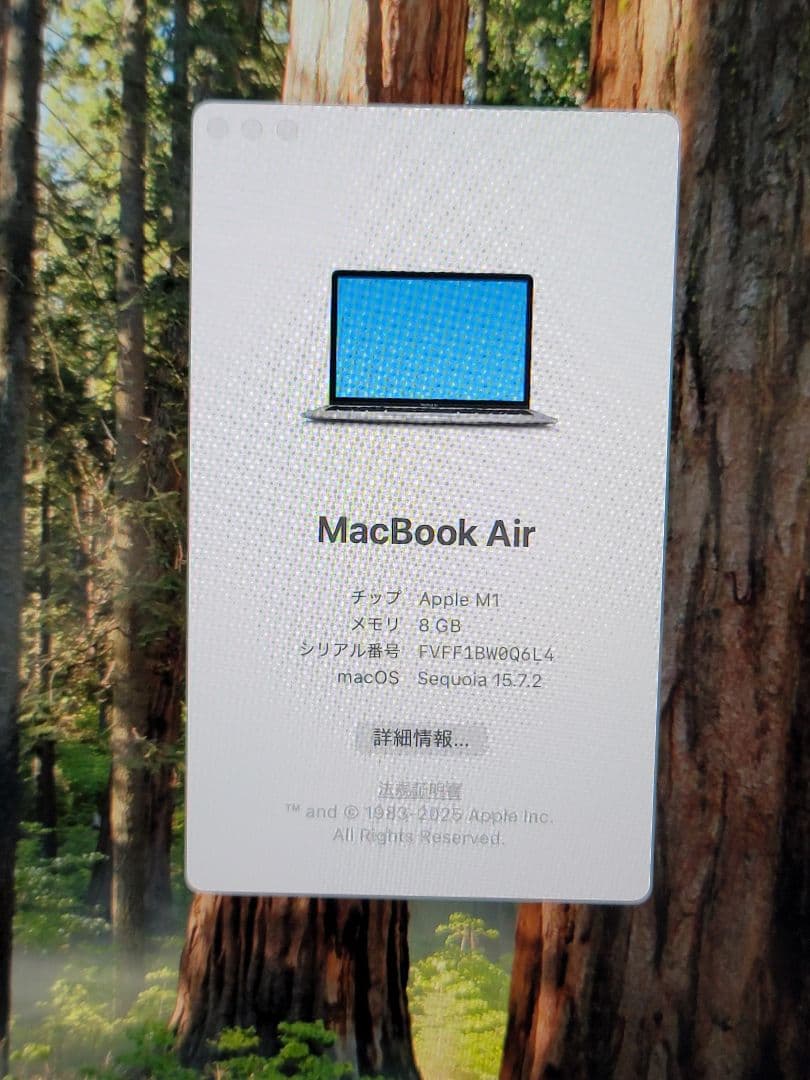 Macbook Air 2020 M1/8GB/256GB バッテリー正常