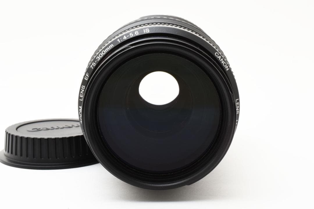 ☆極美品☆ CANON EF 75-300mm F4-5.6 8018