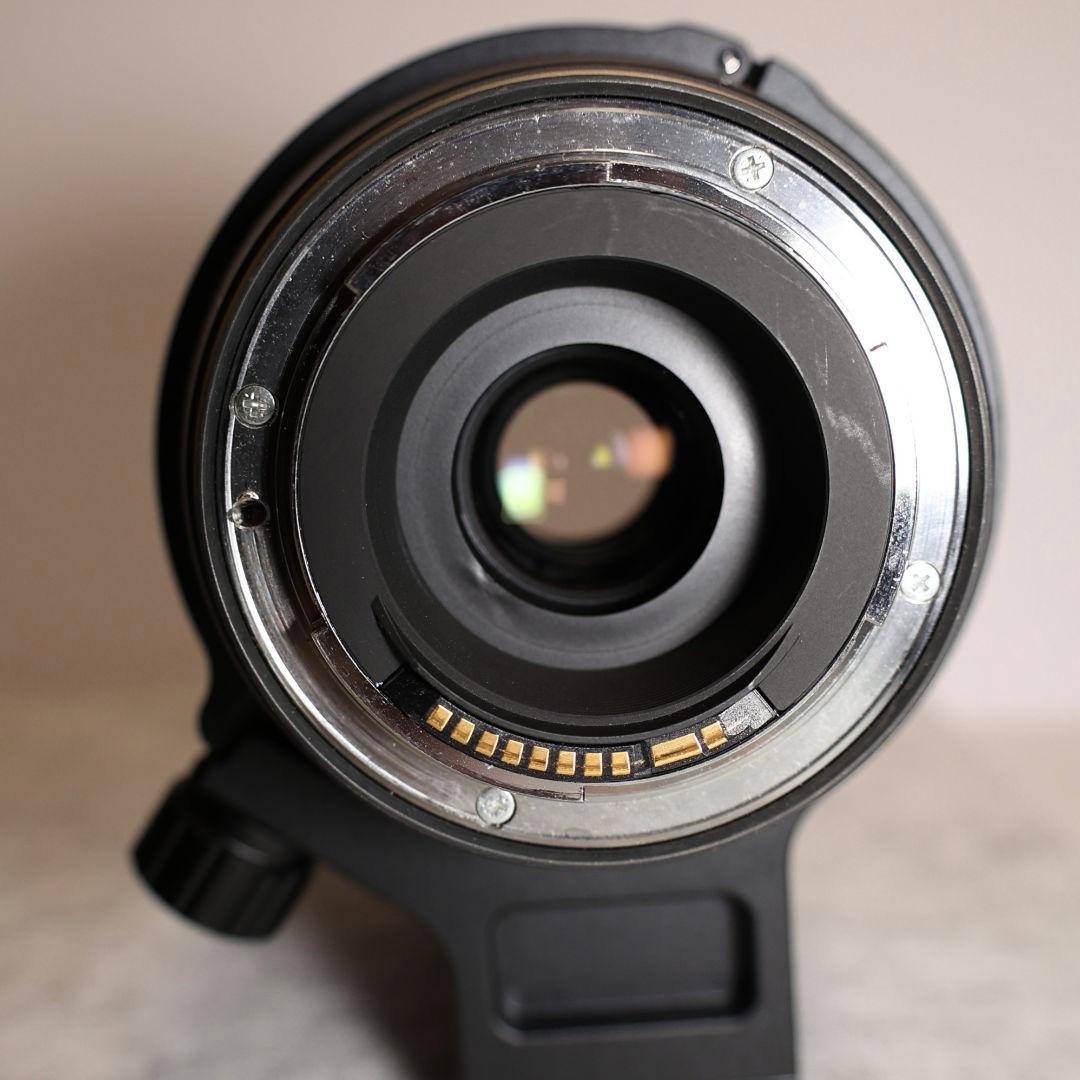 TAMRON 100-400mm F4.5-6.3（キヤノン）