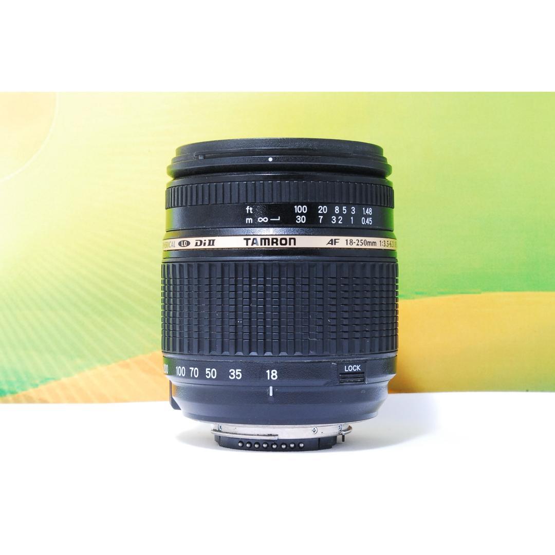 近くも遠くも撮れる✨TAMRON AF 18-250mm Nikon用