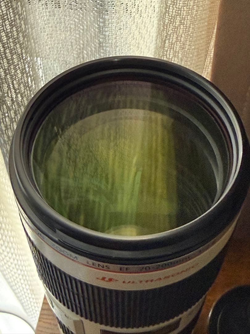 キャノン EF 70-200mm f2.8 ii IS USM