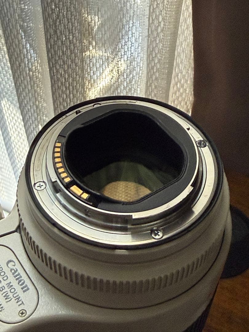 キャノン EF 70-200mm f2.8 ii IS USM