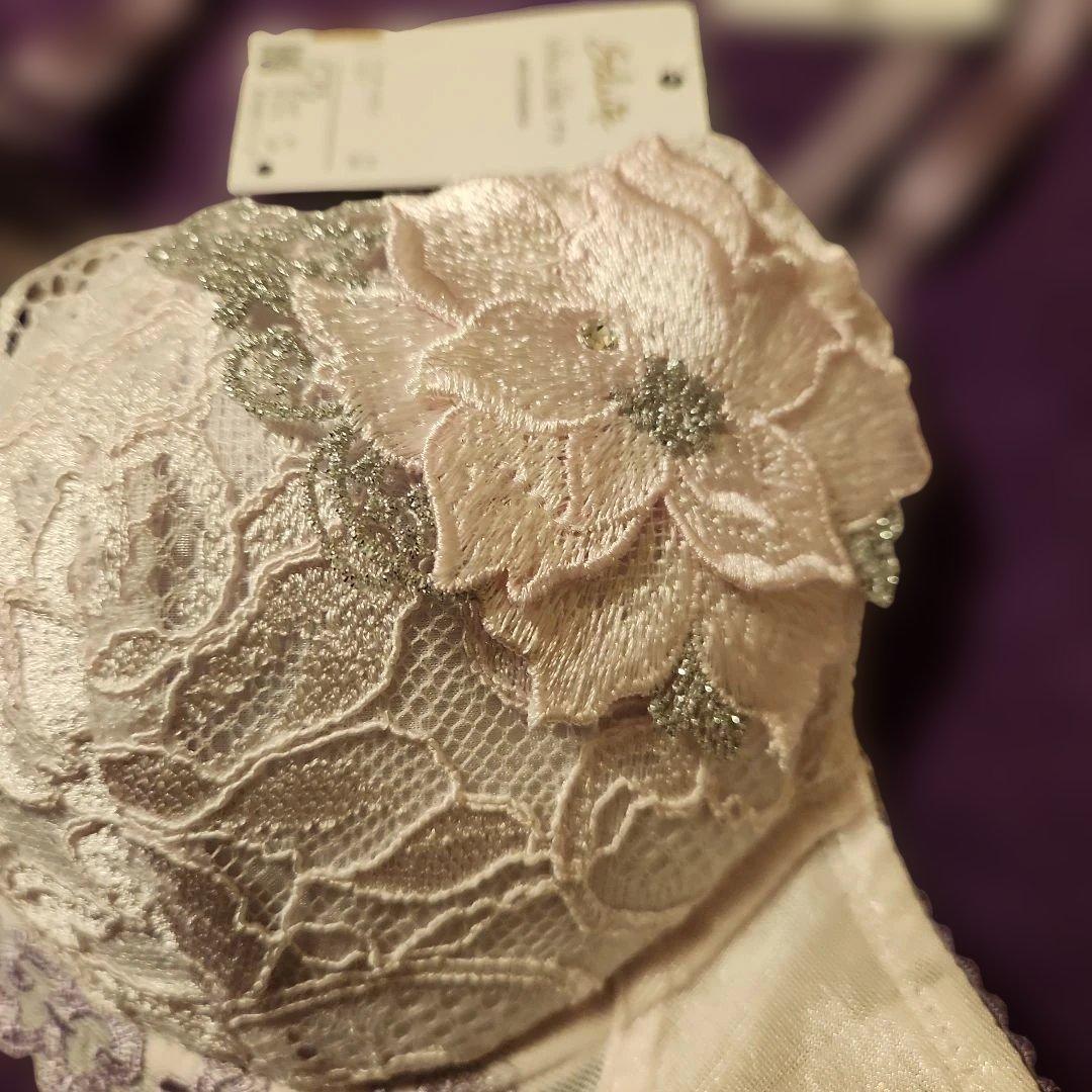 サルート❣️ビバライン27グループアイボリー レース ブラジャーショーツセット