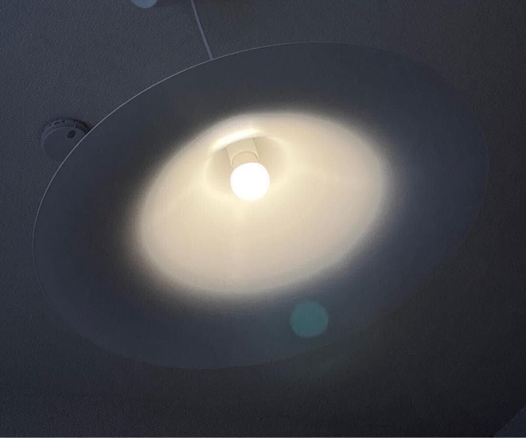 ★超レア★ Fog & Morup Semi 47cm径 フォグ&モーラップ