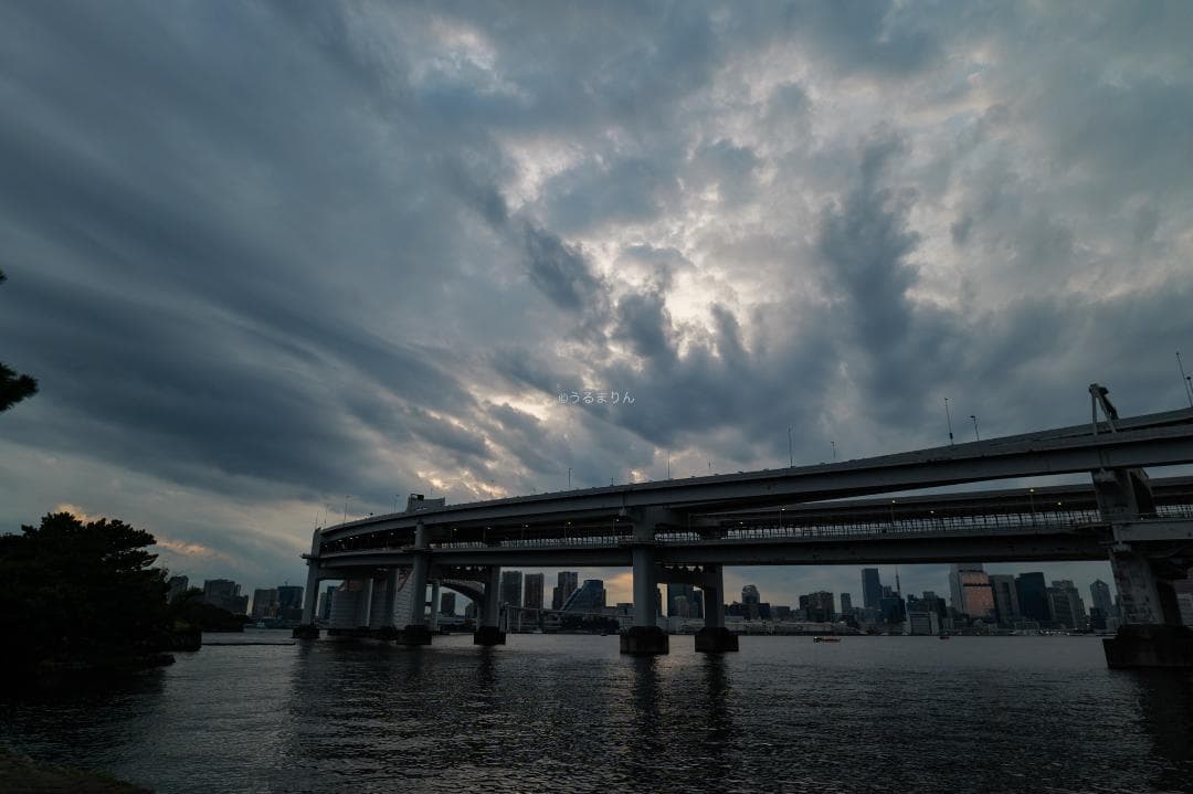 広角20mmの標準ズーム！Panasonic LUMIX S 20-60mm