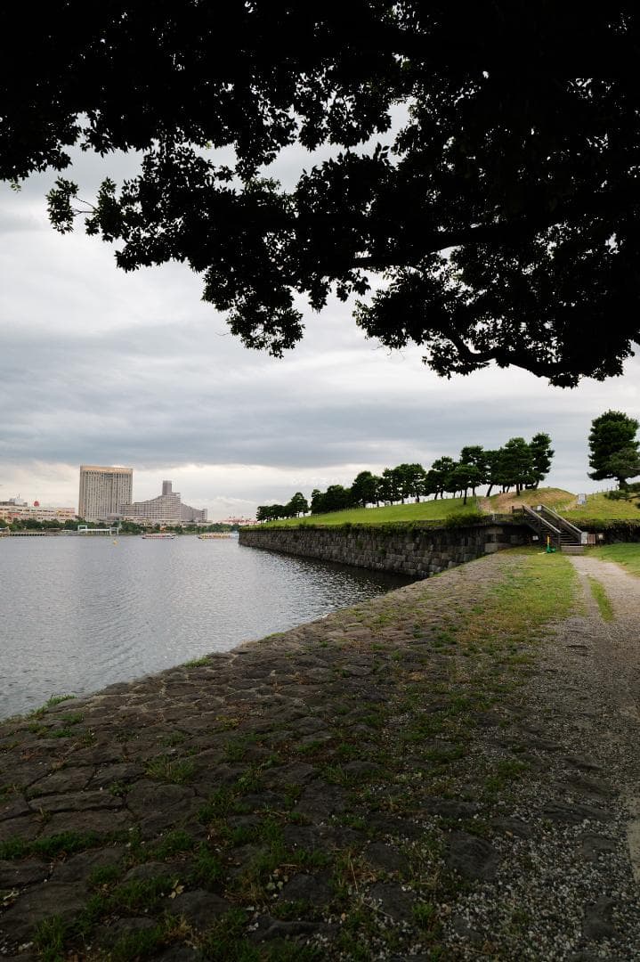 広角20mmの標準ズーム！Panasonic LUMIX S 20-60mm