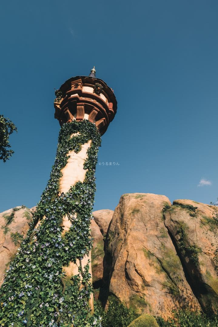 広角20mmの標準ズーム！Panasonic LUMIX S 20-60mm