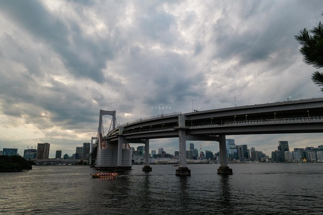 広角20mmの標準ズーム！Panasonic LUMIX S 20-60mm